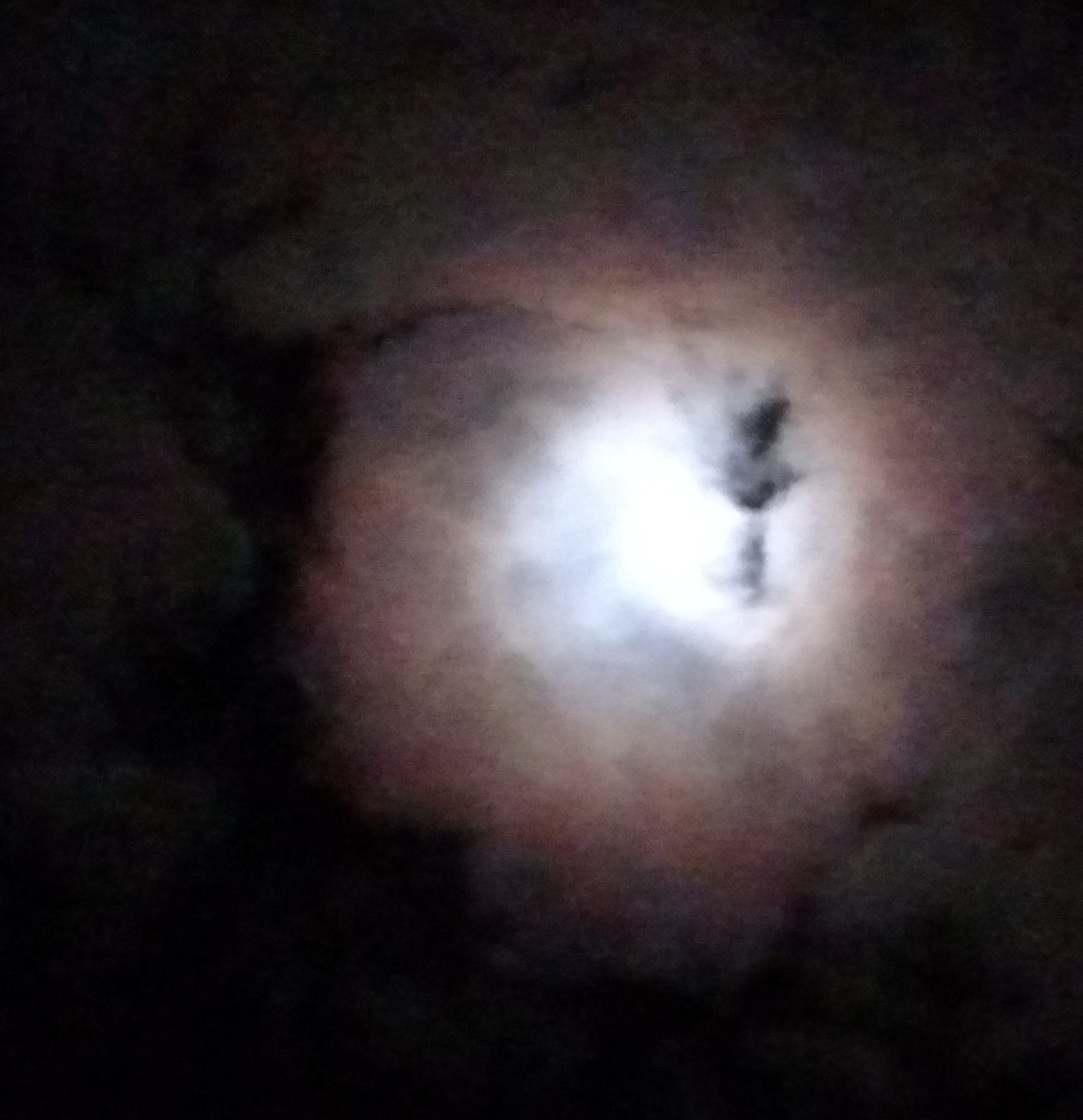 IMG_20181218_193101640